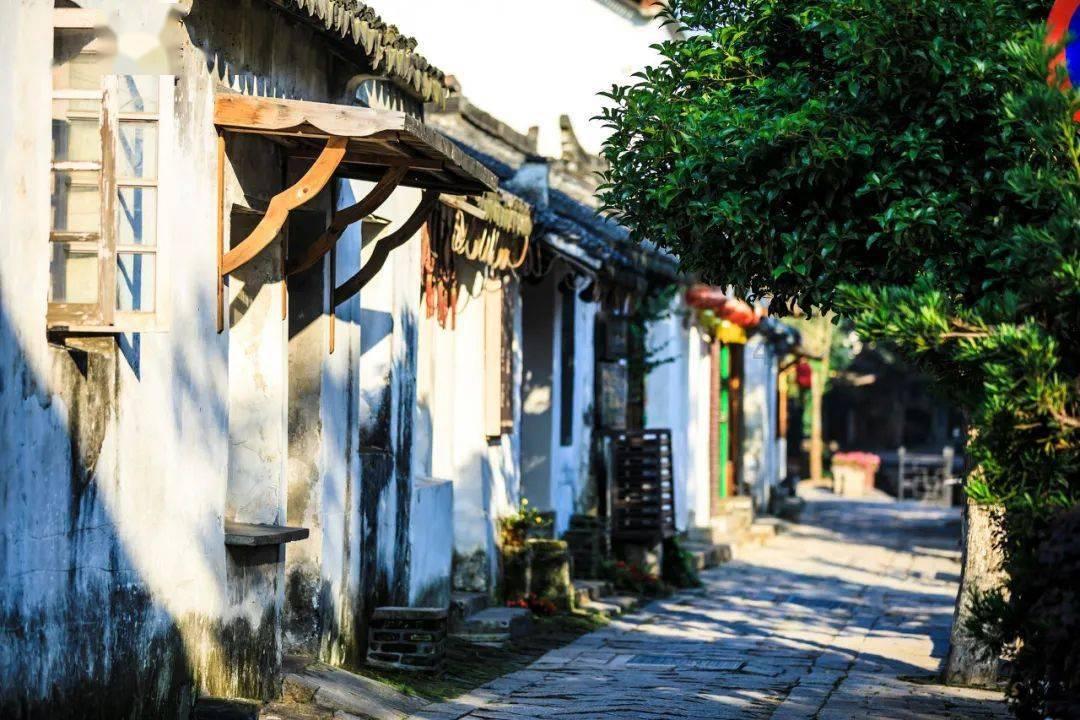 逃离废弃自然公园